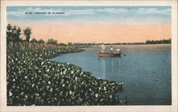 Bass Fishing in Florida Postcard