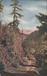 Cariboo Road near Spuzzum Bridge, BC Postcard