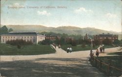UC Berkeley Campus Scene Postcard