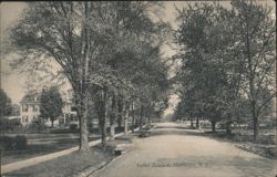 Gates Avenue, Montclair, NJ - Tree-lined residential street Postcard