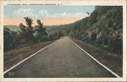Lackawanna Trail Approaching Kirkwood, NY Postcard