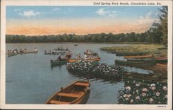 Cold Spring Park Beach, Canadohta Lake, PA Postcard