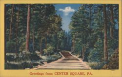 Winding Road through Forest, Center Square, PA Postcard