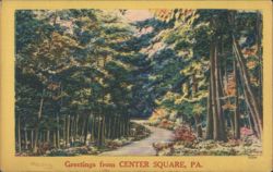 Forest Road, Autumn Foliage, Center Square PA Postcard