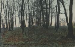 Line of Intrenchments, Valley Forge, PA Postcard