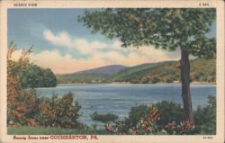 Scenic View, Beauty Scene near Cochranton, PA Postcard