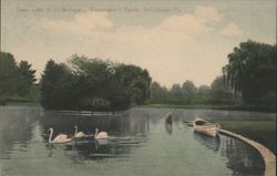Swan Lake at Lindenhurst, Wanamaker's Estate, Jenkintown, PA Postcard