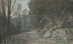 Wissahickon Drive, Fairmount Park, 225th Anniversary Postcard