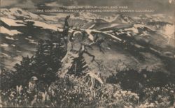 Timberline Group Loveland Pass, Colorado Postcard