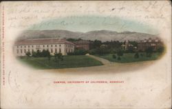 University of California, Berkeley Campus Postcard