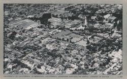 University of California, Berkeley Aerial View Postcard