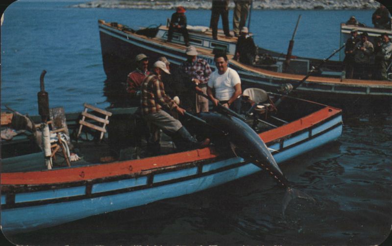 Boating & bluefin tuna at Wedgeport, Nova Scotia NS Canada
