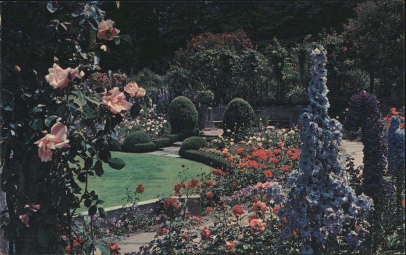 Butchart Gardens, Delphinium Time, Victoria, BC Canada