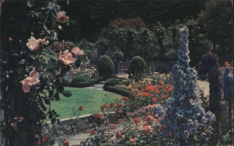 Butchart Gardens Delphinium Time, Victoria, BC Canada