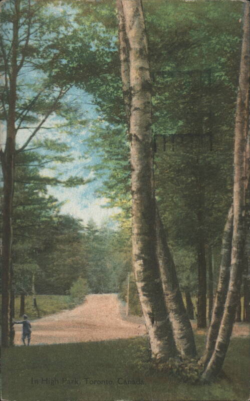 High Park, Tree-Lined Path Toronto Canada Ontario