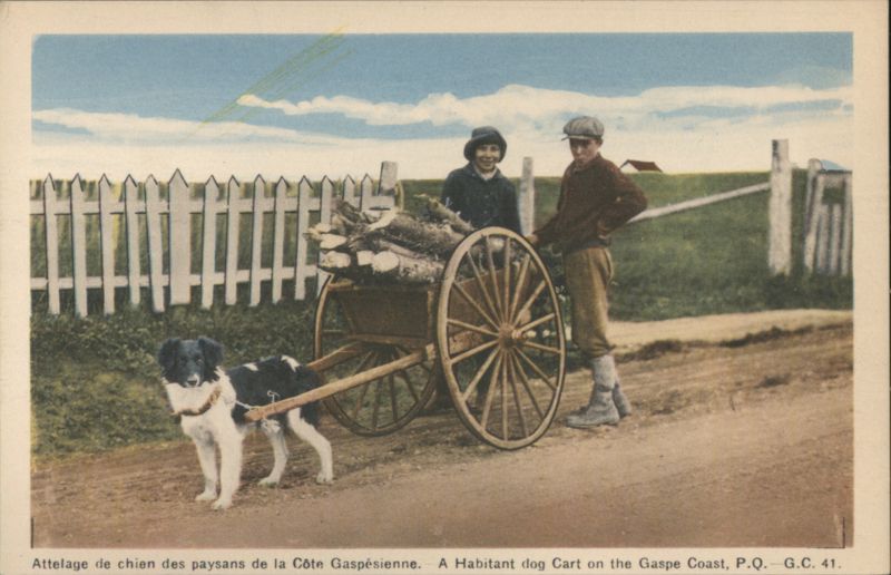 Habitant Dog Cart on the Gaspe Coast, Quebec QC Canada