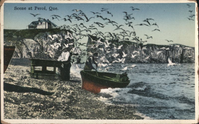 Fishing Boat & Seagulls on Rocky Shore Percé QC Canada