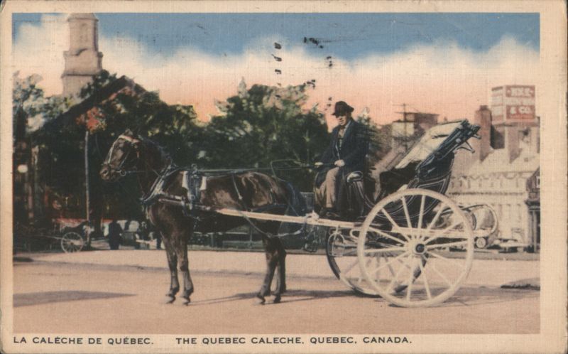 Quebec Calèche with Driver, Horse-Drawn Carriage QC Canada