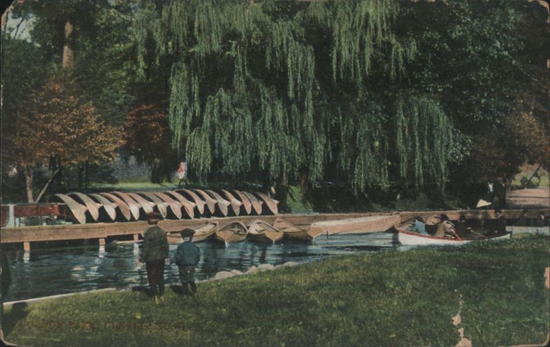 Park Scene with Boats & Weeping Willow, Cleveland Ohio