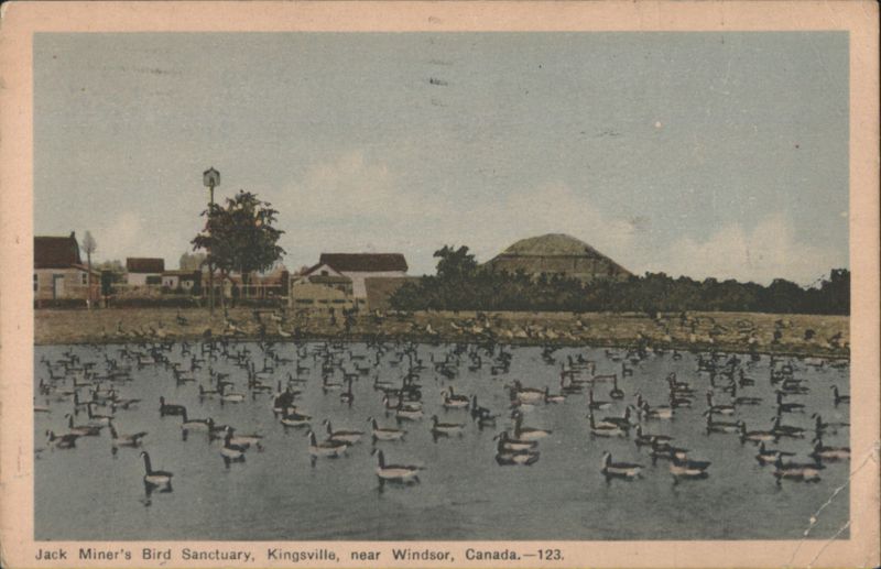 Jack Miner's Bird Sanctuary, Kingsville, Canada ON
