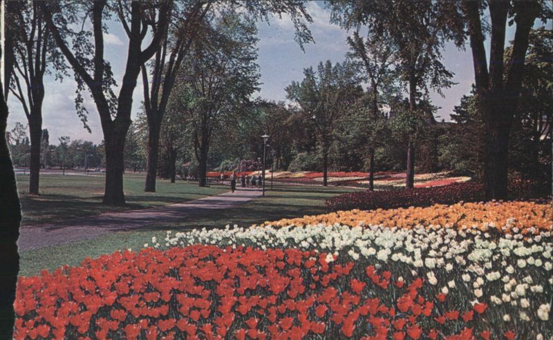 Tulip Gardens in Canada's Capital City Ottawa ON Ontario
