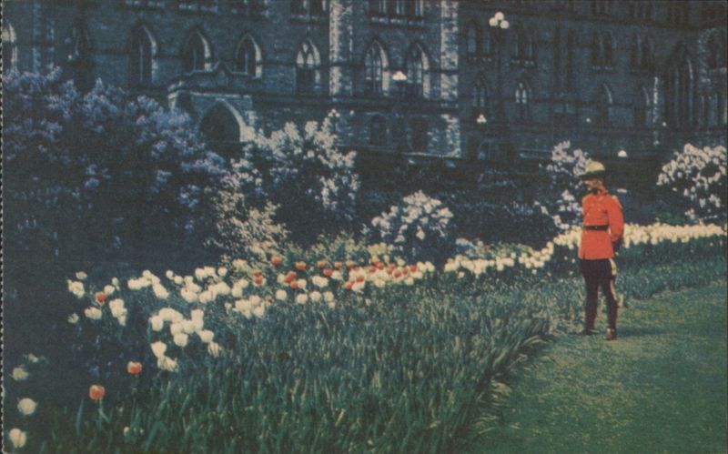 Tulip Beds Parliament Buildings, Ottawa with RCMP Officer ON Canada