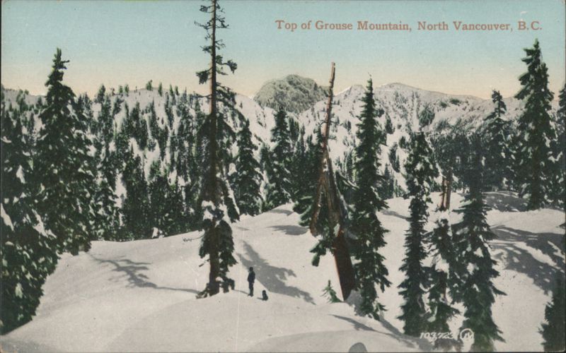 Top of Grouse Mountain, North Vancouver, BC Canada