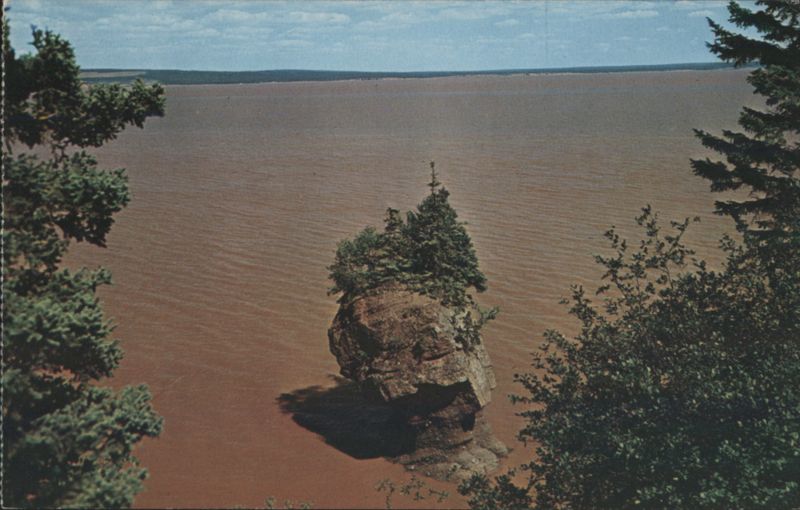 The World's Largest Flower Pot, Hopewell Rocks NB Canada