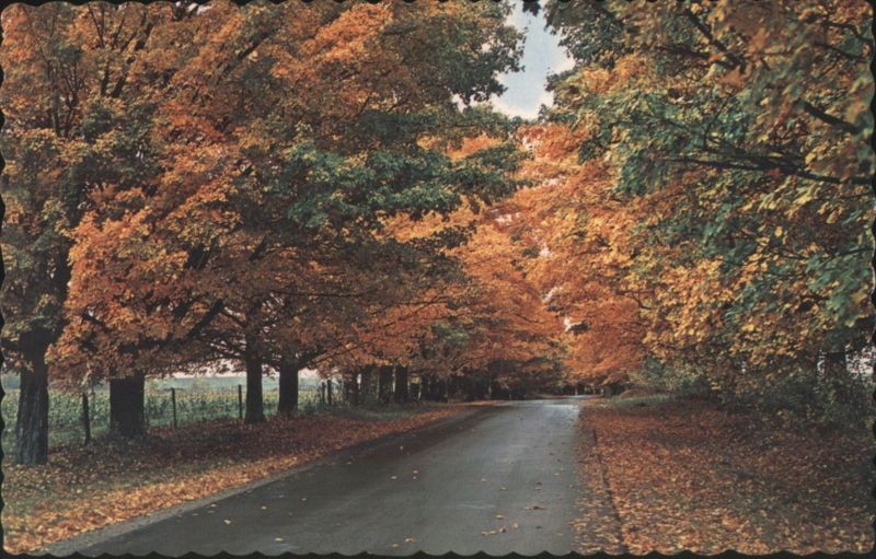 Canadian Country Scene in Fall Carnarvon Canada Ontario