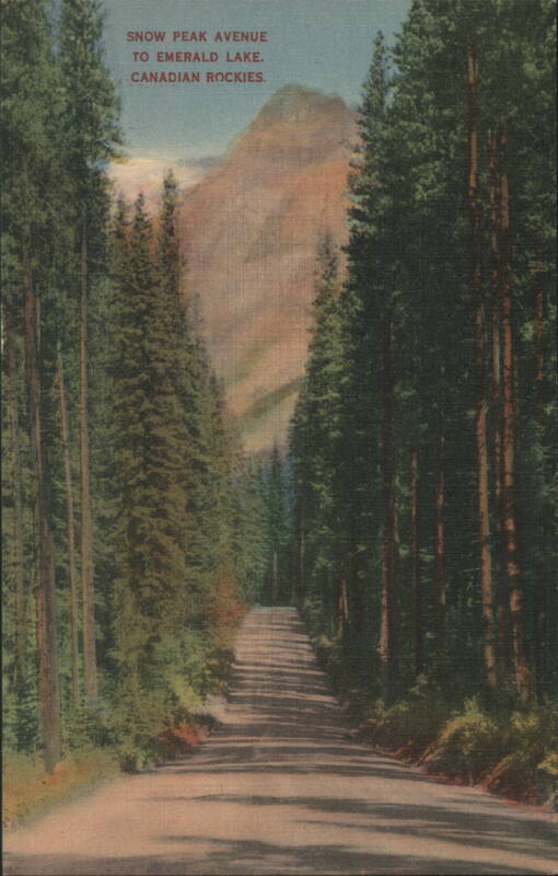 Snow Peak Avenue to Emerald Lake, Canadian Rockies BC Canada