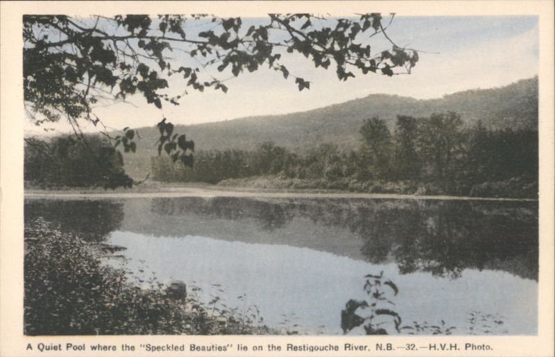 Quiet Pool, Restigouche River, NB - Speckled Beauties Canada
