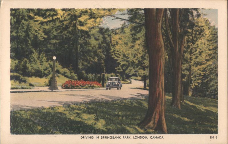 Driving in Springbank Park, London, ON Canada Ontario