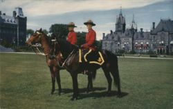 Mounties on Horseback Postcard