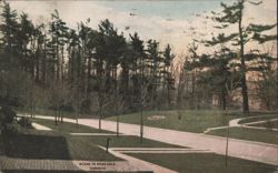 Scene in Rosedale, Toronto - Tree-lined Streets Postcard