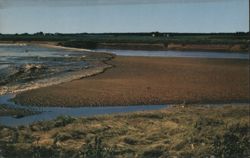 Tidal Bore at Truro, Nova Scotia Postcard