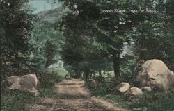 Lover's Walk, Lake of Bays Postcard