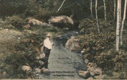 Highland Stream, Muskoka Lakes District, ON, Fishing Postcard