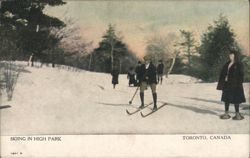 Skiing in High Park, Toronto Postcard