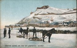 Winter Scene on the St. Lawrence, Quebec Postcard