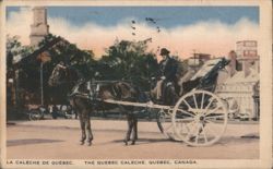 Quebec Calèche with Driver, Horse-Drawn Carriage Postcard