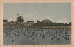 Jack Miner's Bird Sanctuary, Kingsville, Canada Postcard