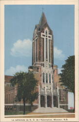 La cathédrale de N. D. de l'Assomption Postcard