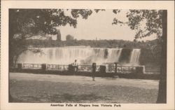 American Falls of Niagara from Victoria Park Postcard