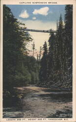 Capilano Suspension Bridge, Vancouver BC Postcard