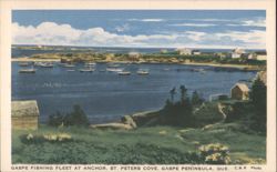 Gaspe Fishing Fleet at Anchor, St. Peters Cove Postcard