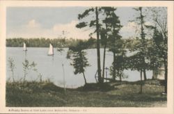 A Pretty Scene at Oak Lake near Belleville, Ontario Postcard