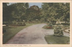 The Drive, Victoria Park, London, Ontario Postcard