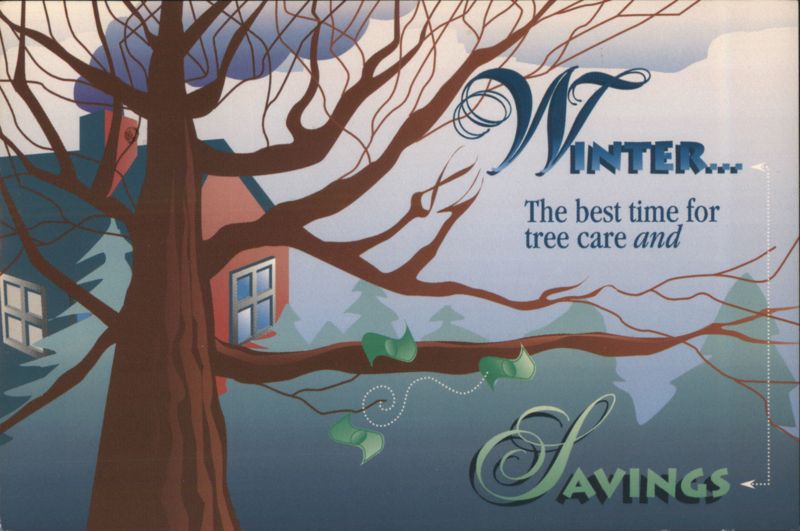 Winter Tree Care and Savings Lou Giroud Tree Service
