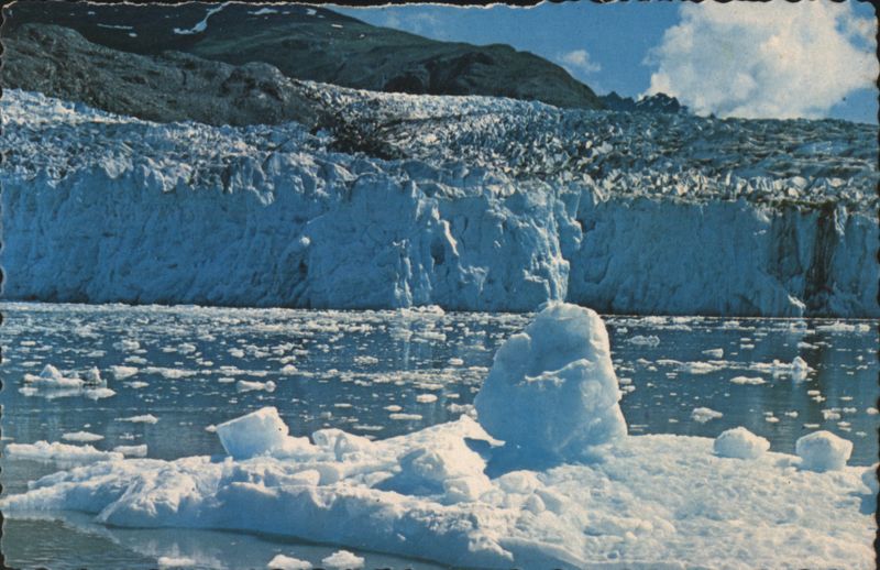 Glacier Bay National Monument, Icebergs & Glacier Alaska