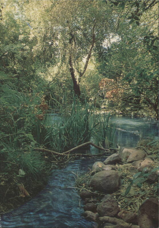 Tel Dan, Upper Galilee, Source of River Jordan, Israel